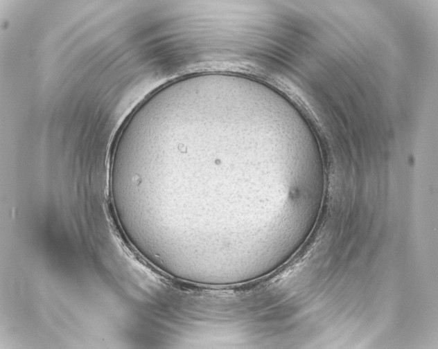 X0000087030844200705141920