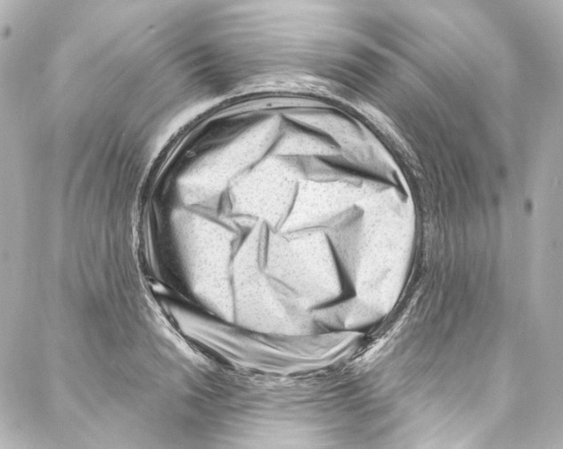 X0000087030846200705141920