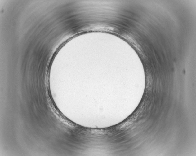 X0000087030848200705141920