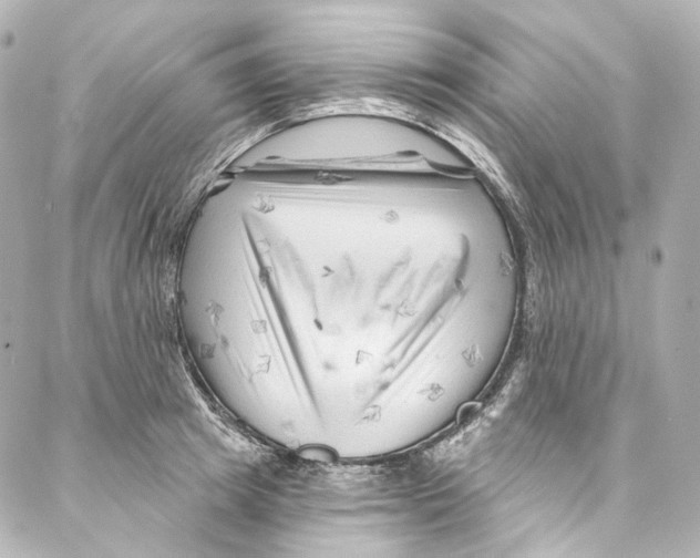 X0000087030849200705141920