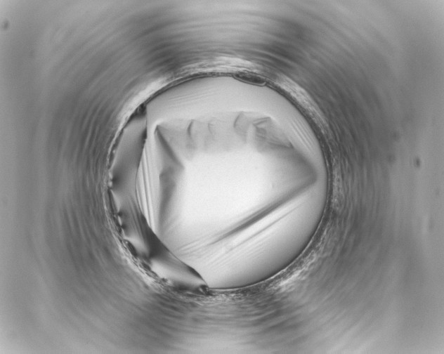 X0000087030850200705141920