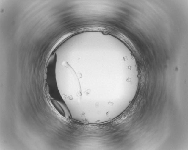 X0000087030852200705141920