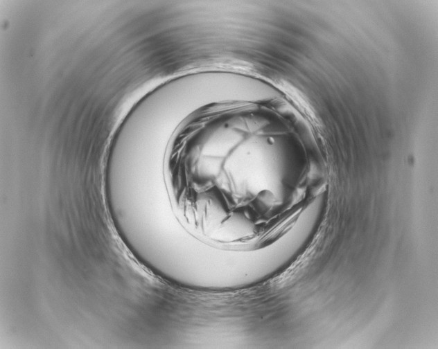 X0000087030854200705141920