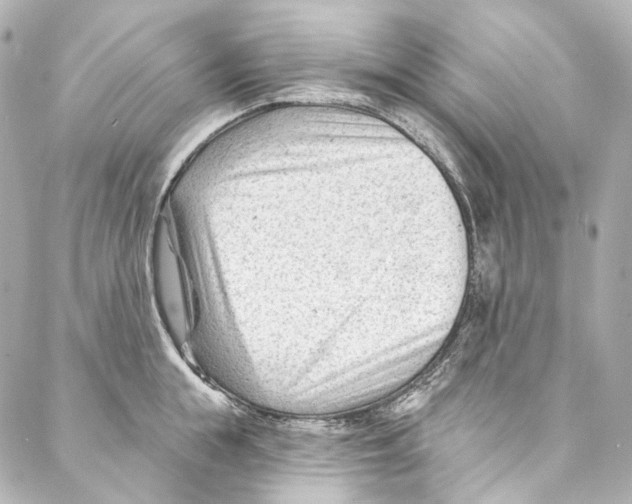 X0000087030855200705141920