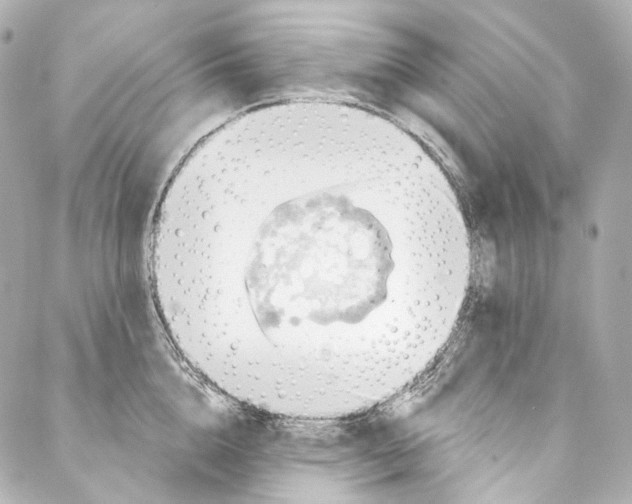 X0000087030856200705141920