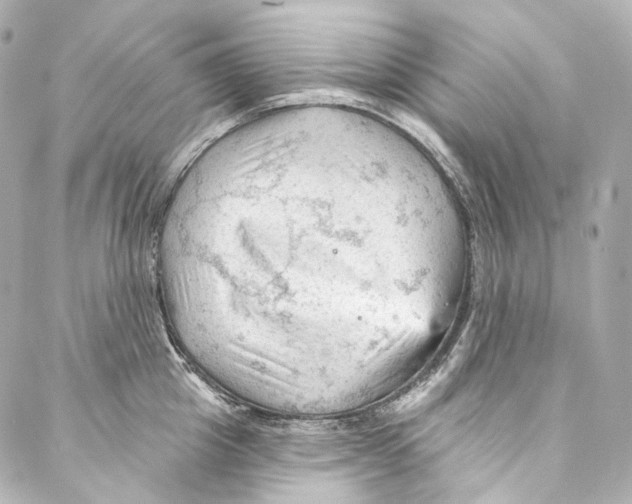 X0000087030857200705141920