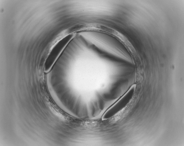 X0000087030858200705141920