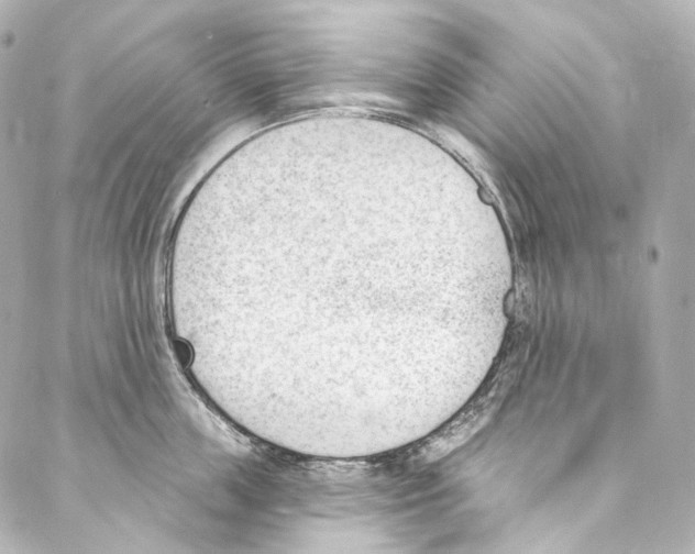 X0000087030859200705141920