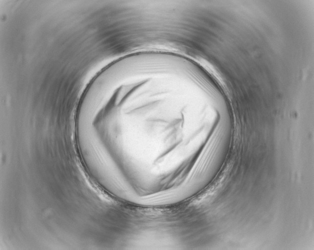 X0000087030862200705141920