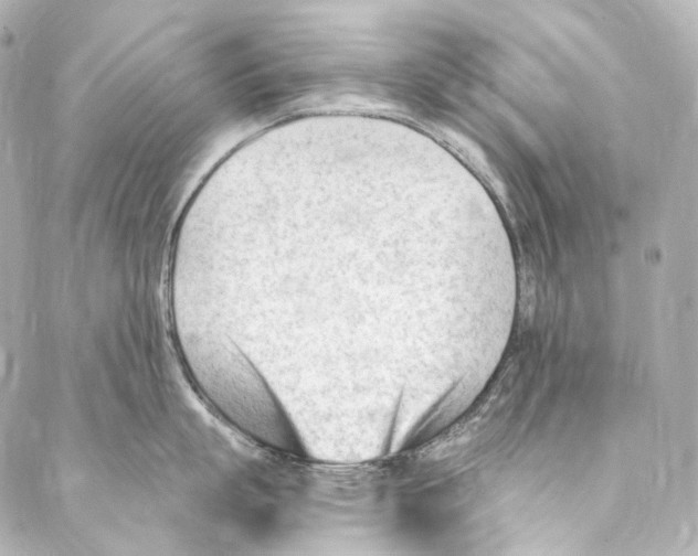 X0000087030863200705141920