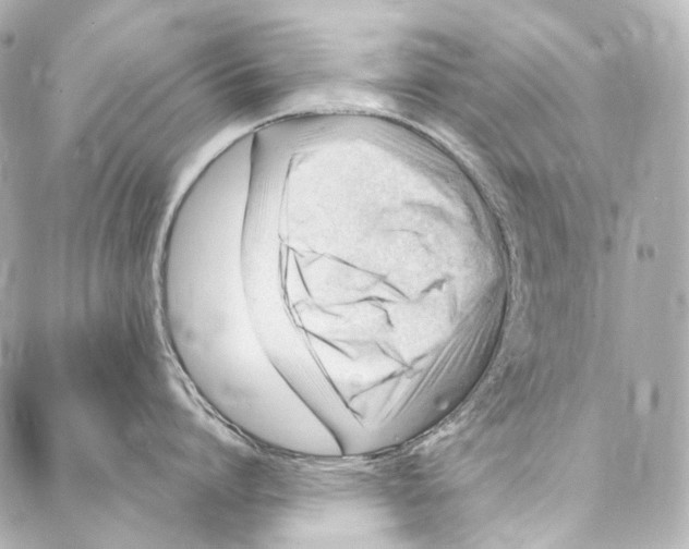 X0000087030864200705141920