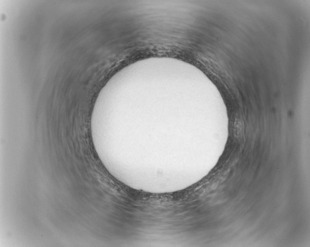 X0000087030865200705141920