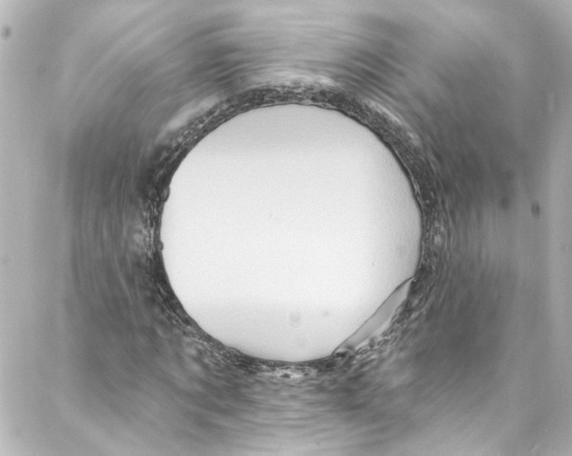 X0000087030869200705141919