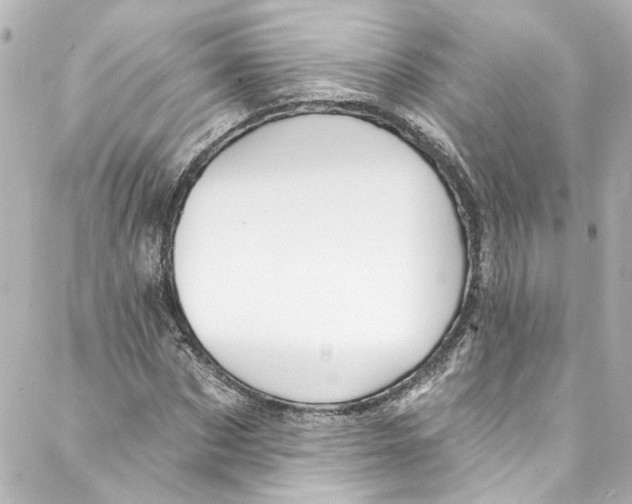 X0000087030873200705141919