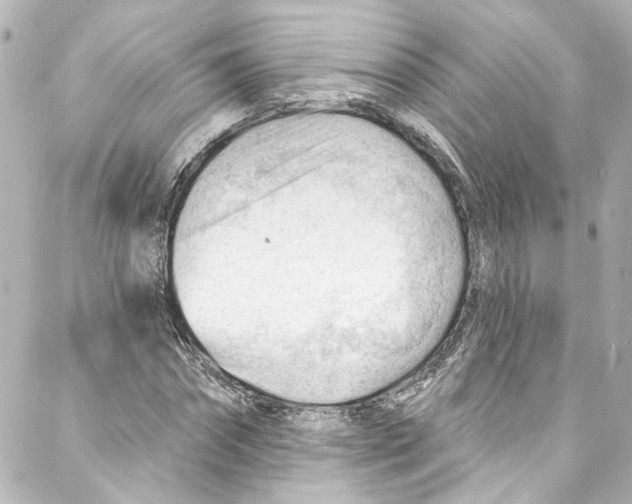 X0000087030874200705141919