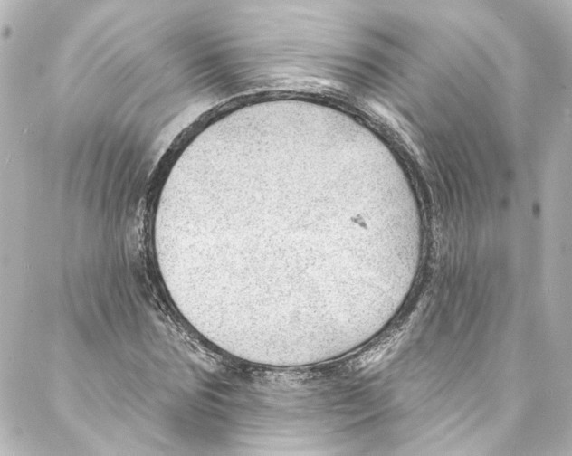 X0000087030875200705141919