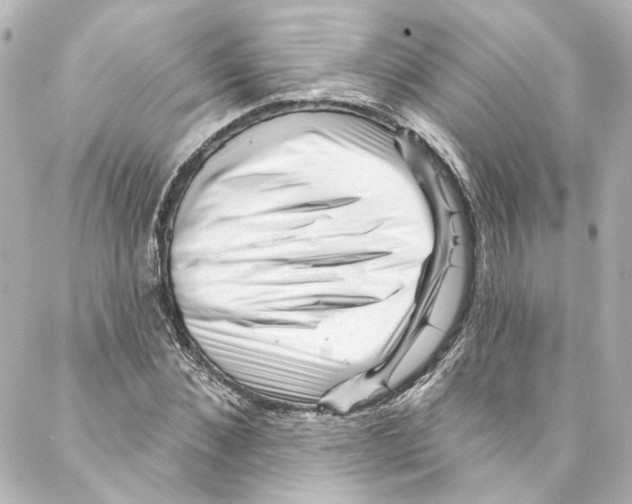 X0000087030876200705141919