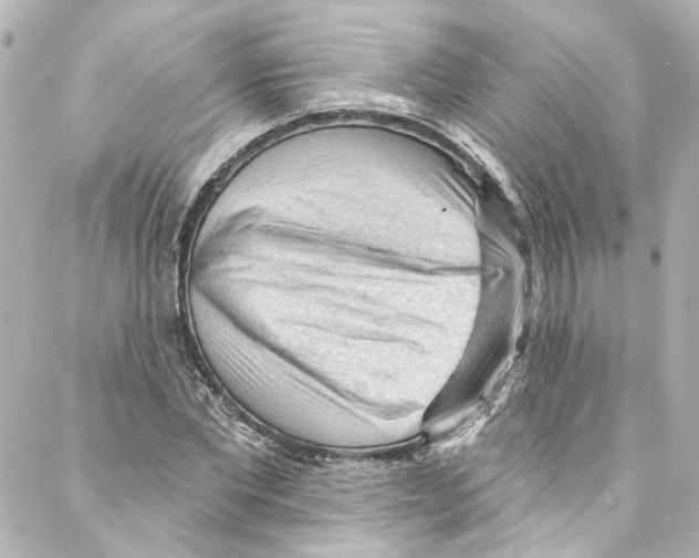 X0000087030877200705141919