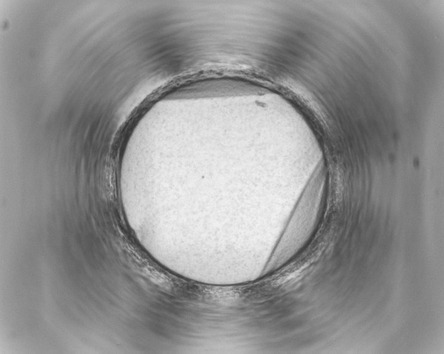 X0000087030878200705141919