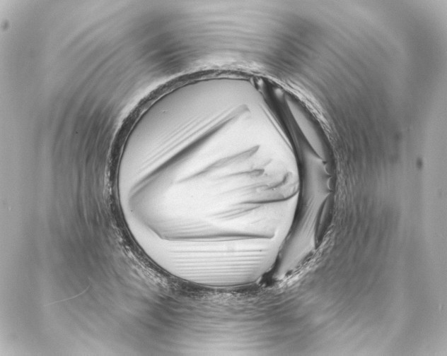 X0000087030880200705141919