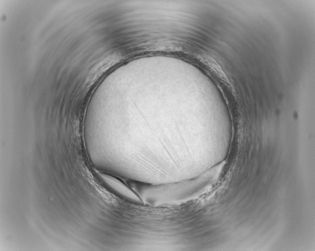 X0000087030881200705141919