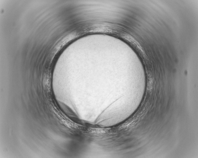 X0000087030882200705141919