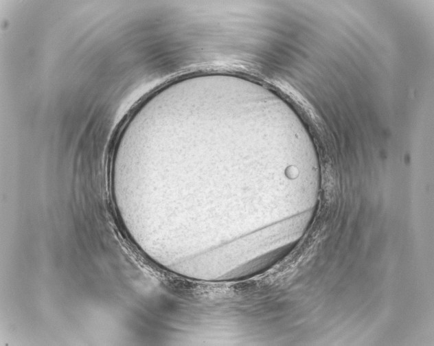 X0000087030886200705141919