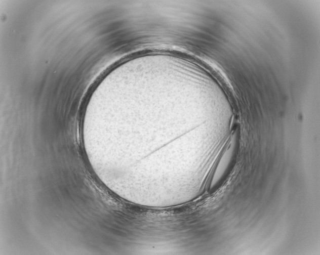 X0000087030887200705141919