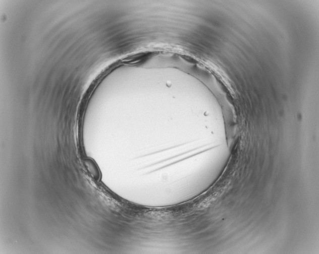 X0000087030888200705141919