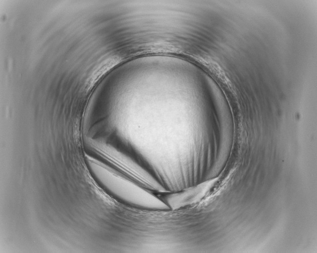 X0000087030889200705141919