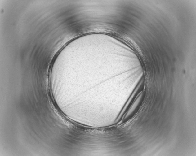 X0000087030890200705141919