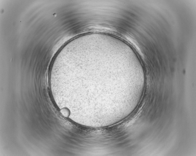 X0000087030891200705141919