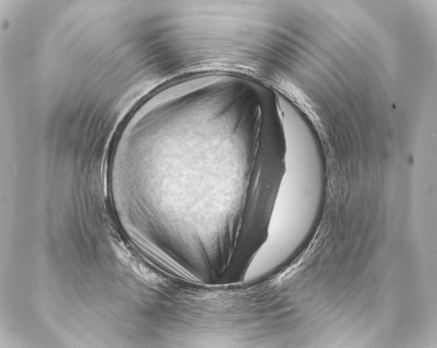 X0000087030892200705141919