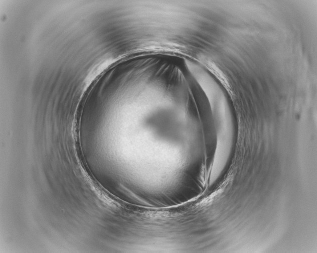 X0000087030893200705141919