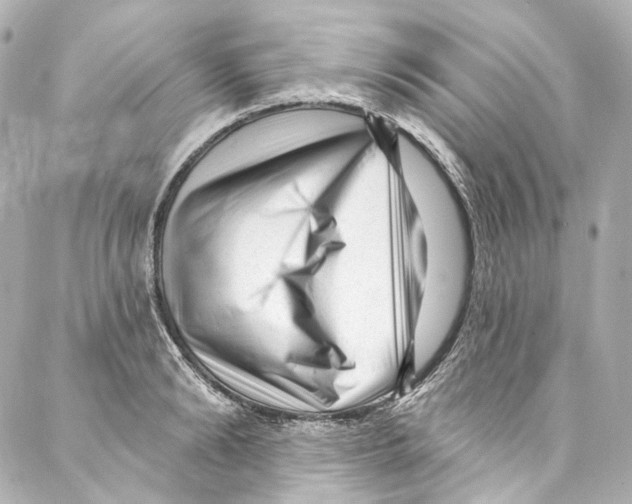 X0000087030894200705141919