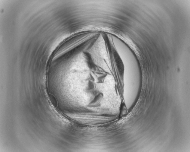 X0000087030896200705141919