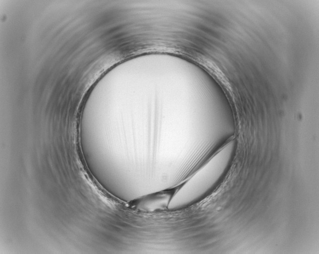 X0000087030898200705141919