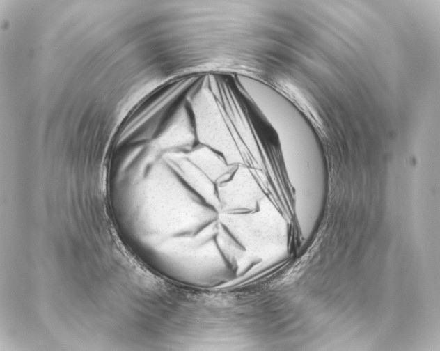 X0000087030900200705141919