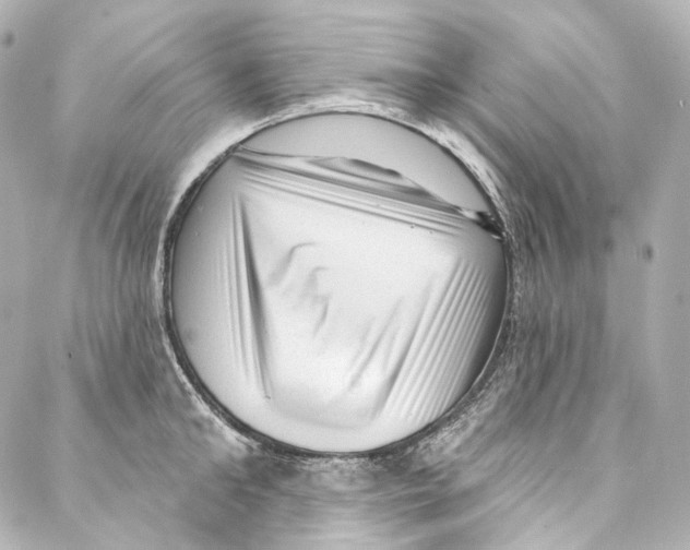 X0000087030902200705141919