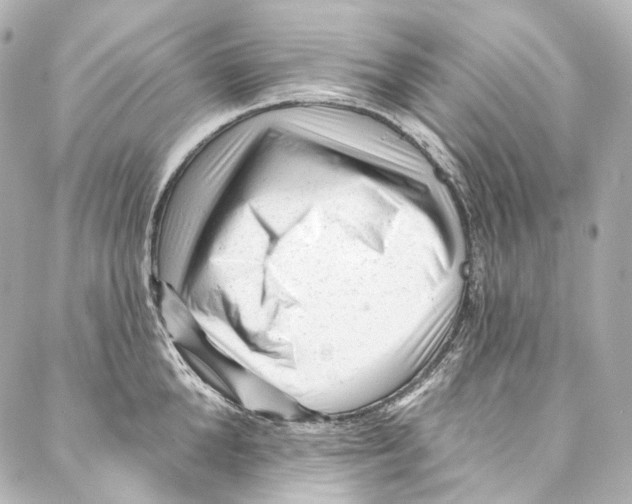 X0000087030904200705141919