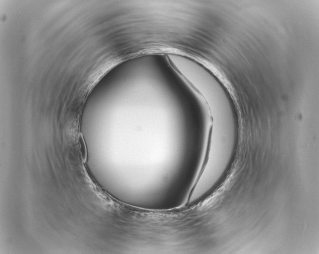 X0000087030905200705141919