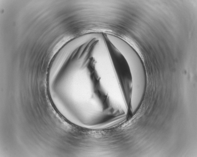 X0000087030906200705141919