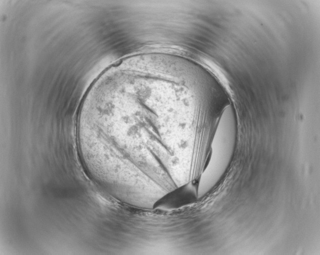 X0000087030907200705141919