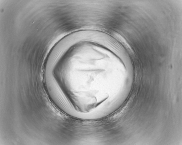 X0000087030908200705141919