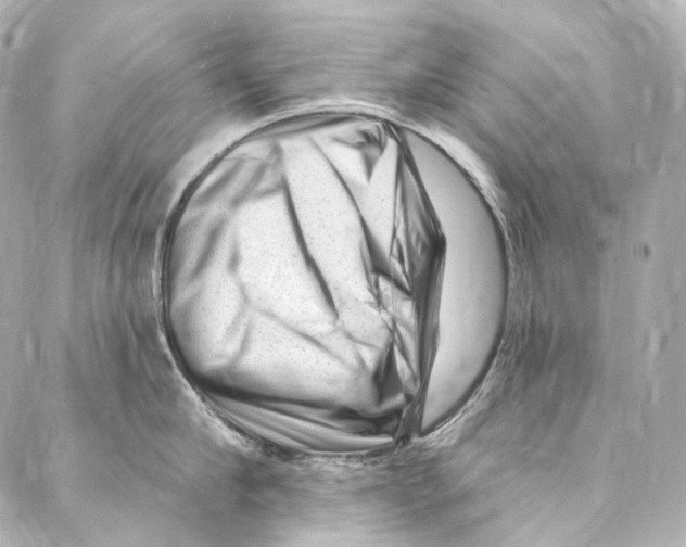 X0000087030910200705141919