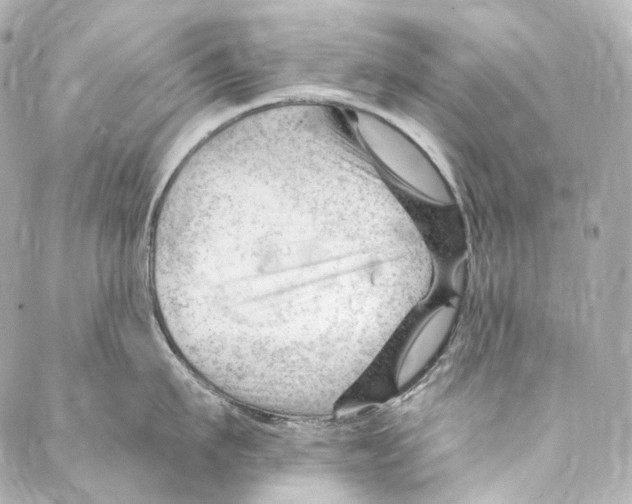 X0000087030911200705141919