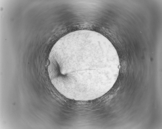 X0000087030913200705141918