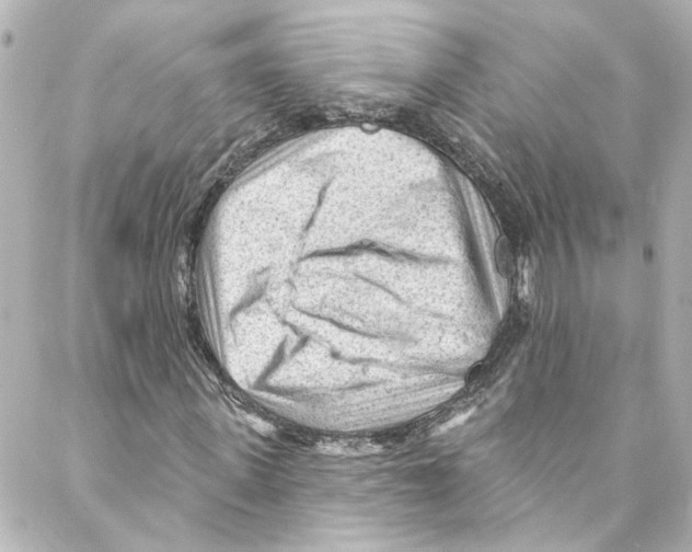 X0000087030915200705141918