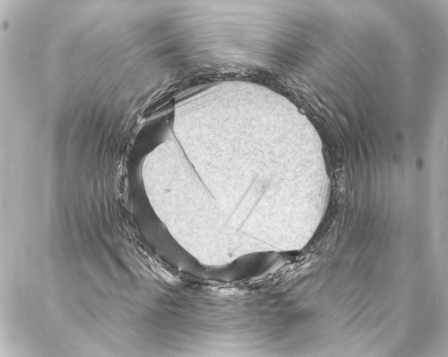 X0000087030916200705141918