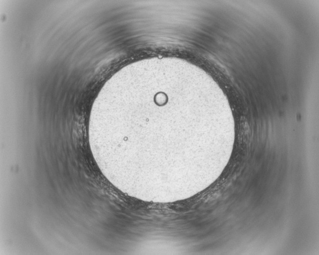 X0000087030918200705141918